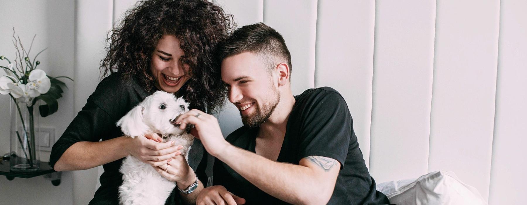 We love our furry friends a man and woman sitting on a bed playing with a dog
